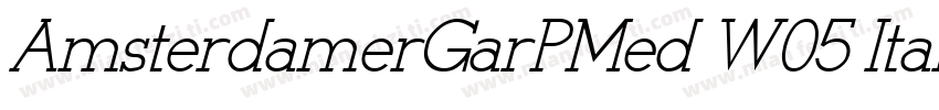 AmsterdamerGarPMed W05 Italic字体转换